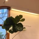 포스톤즈 삼성본점 솔직후기 | 코엑스 감성카페+디저트 맛집 발견!