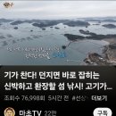 마초TV 소안도 편 이미지