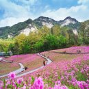 밤동산어린이공원 이미지