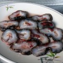 해삼 이미지