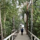 위드푸르츠 | 발리(BALI)｜길리T 폰테빌라(Ponte villas) 퀸 디럭스룸 후기