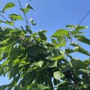 또박이농장 이미지