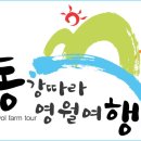 동강리버버깅협동조합 이미지