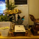 대장부 | 원종동맛집, 부천감자탕 추천! 통큰대장부감자탕 후기 🥔🍲