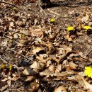 산골짜기 이미지