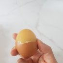 배달의계란 이미지