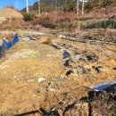 명동농장 이미지