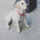 반디네허브 이미지