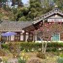 대중바다식당 이미지