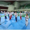 용인대석사 백호태권도장 이미지