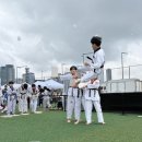 강철태권도 이미지