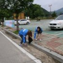 미소피아 이미지