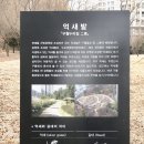 전재울근린공원 유아숲체험원 이미지