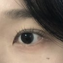 속눈썹펌 잘하는 곳 • 운천역 팔레트 • 쌍촌동 무쌍 속눈썹펌 • 속눈썹 영양제 추천 • 퓨어틱 롱앤미