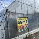 박산농장 | 경기 서울 근교 아이랑 함께 체험할 수 있는 남양주 더드림 딸기 체험 농장!(이용 꿀팁 및 내돈내산 후기)