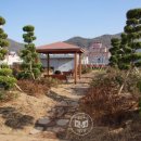 양산시2청사 이미지