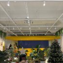 벌말로50번길 이미지