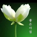 [1급과정] 심리상담사 1급 이미지