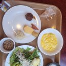 후쿠오카 대표 음식, 후쿠오카 텐진 맛집 BEST 10(사이트 정리 포함)