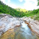 오대산늘벗 이미지