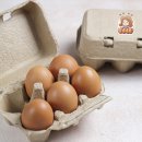 태림농장 이미지