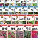 법인다농 이미지