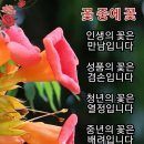 굿모닝 / 항상 행복하세요 / 인사말 이미지 이미지