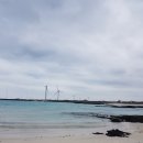바람길 | 국토 여행 제주도 김녕 세화 월정리해수욕장 편