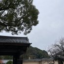 황소떡집 이미지