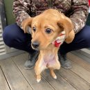 삼부연로 이미지