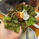 굴다리숯불구이본가 | 군포 당동 갈비 맛집 굴다리숯불구이본가 내돈내산