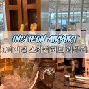 인천공항 1터미널 스카이허브 라운지 신한SOL트래블 혜택 이용 후기