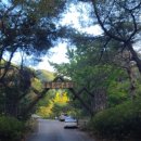 불정자연휴양림캠핑장 이미지