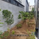 성용조경 이미지