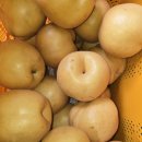 신고배 신선상품... (가정용) 15kg 40-50박스 선착순 세일 저장고 입고전 분류 세일 이미지