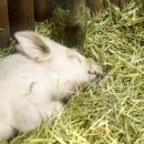 봄날테라피 이미지