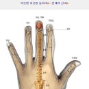 아플 때 누르면 좋은 손가락 지압점 이미지