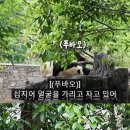 숙이언니 이미지