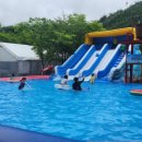 힐링애견 이미지