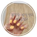 네일인트 이미지
