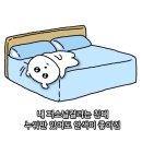 경기도 수원시 영통구 권선로 882번길 이미지