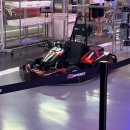 골드그라운드 | 비발디파크 여행 2편(반려견&amp;8개월 아이와 함께), 소노펫 펫플레이그라운드 후기_소노펫 골드뷰 객실 후기