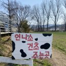 동수목장 이미지