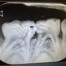 아이사랑 치과의원 이미지