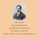 헤일로효과