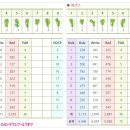 삼남개발(주) 기흥컨트리클럽 | 골프회원권거래소 추천~~명문 기흥cc골프장회원권시세 에 대해서~