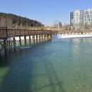 호수공원 이미지