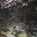 유쾌한 상상1 이미지