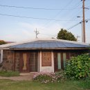 평대 모살코지 이미지