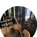 청구블루빌 | 아이디헤어 수내점(분당 미용실/헤드스파/장마철•염색 후 두피 클리닉)